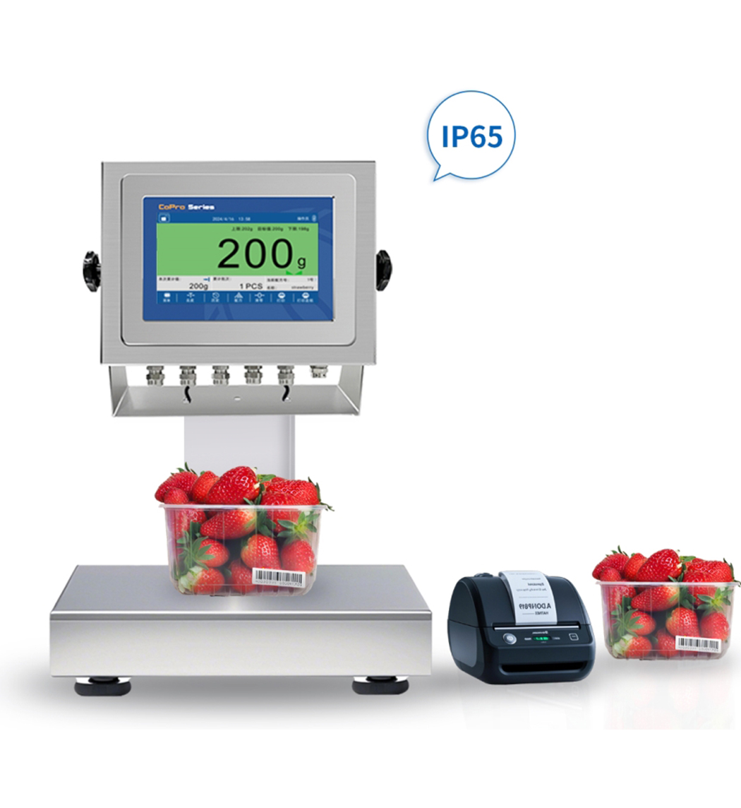 gmc-p7(f8) 称重仪表（静态检重应用）