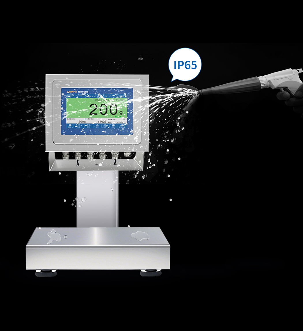 gmc-p7(f8) 称重仪表（静态检重应用）